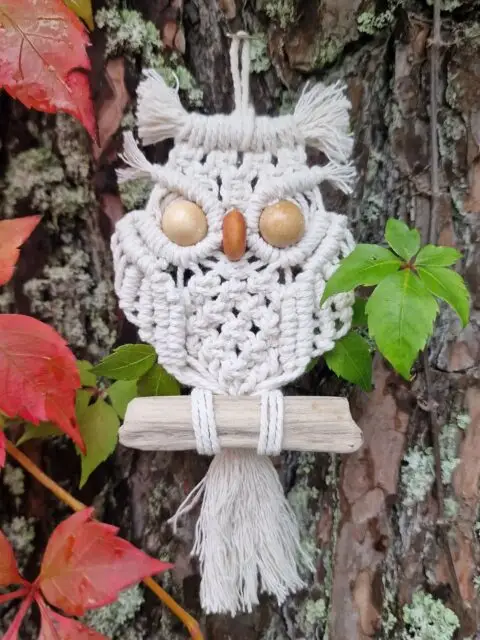 NEW & Unique Macramé Owl Pattern Tutorial on my YouTube channel: MacrameSchool / Link in Bio 🦉 This pattern is perfect for macramé lovers, beginners, DIY enthusiasts, and anyone looking for a new macramé project to try in 2026. 🧶🤍 #owl #macrame #macramedecor #macrameowl #wallhanging