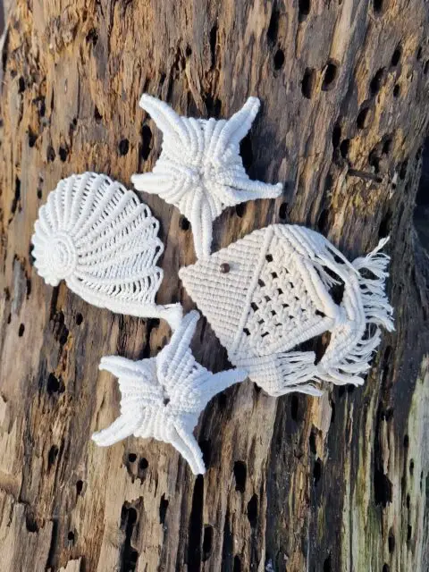 🐠🐚 Macrame Fish, Starfish, Seashell - Tutorials for these projects are available on my YouTube channel: Macrame School. 🐟🐡 #macrame #macrameschool #beachhouse