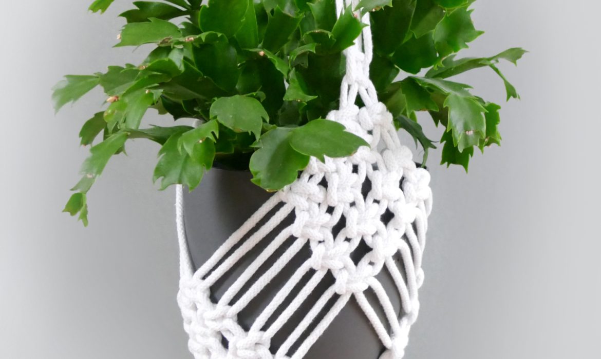 DIY Macrame Plant Hanger EASY Diamond Design