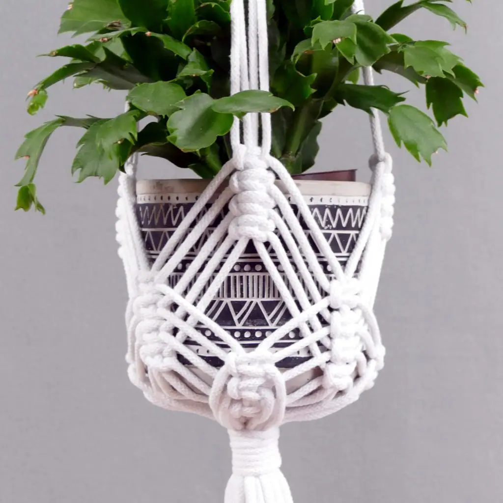 Plant Hanger