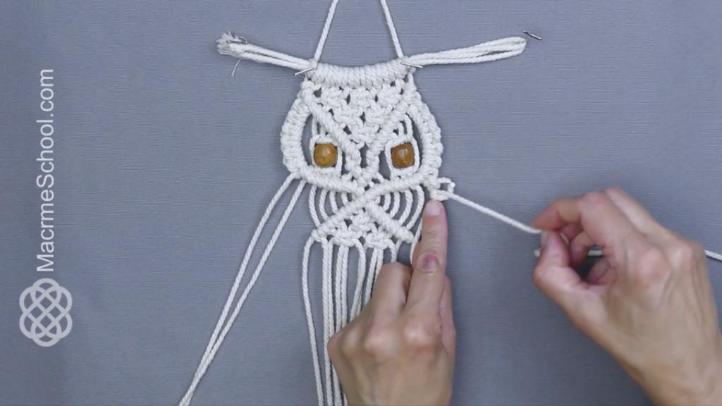 how to owl