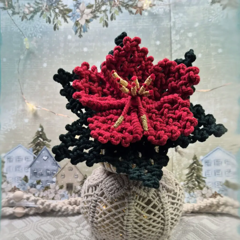 Macrame Christmas Flower