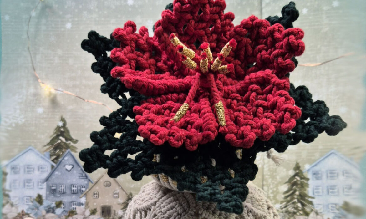 Macrame Christmas Flower