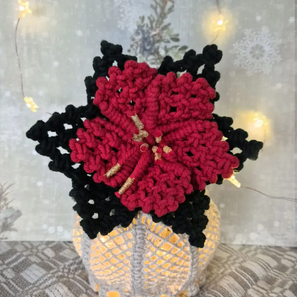 Macrame Christmas Flower