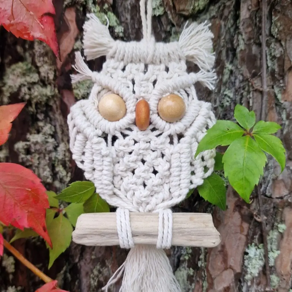 New Macrame Owl DIY